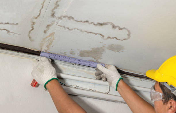 Reliable Burst Pipe Cleanup contractor in Holiday, FL by Water Damage Irwin